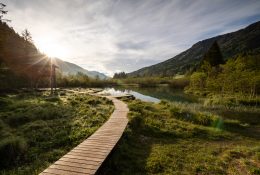Juliana Trails